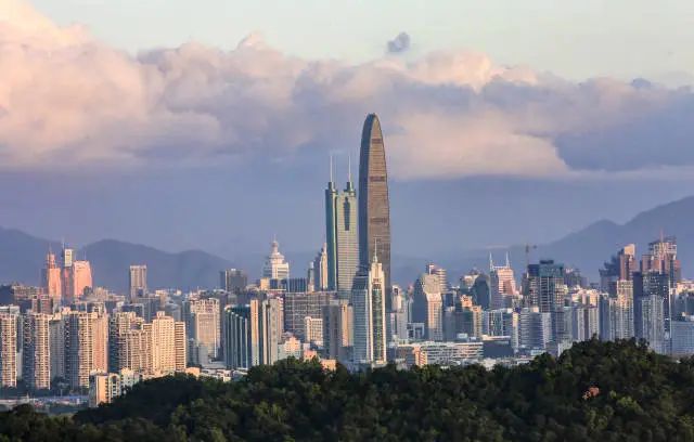 深圳中心区。摄影:记者鲁力 图片